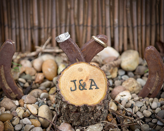 Brown Wedding-617-Edit